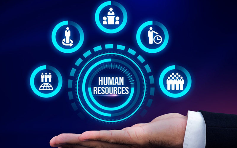 HRMS Globex: Streamlining Human Resource Management