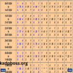 Satta Matka Day Madhur Panel Chart